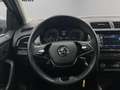 Skoda Fabia Combi Best of 70kW TSI Silber - thumbnail 8