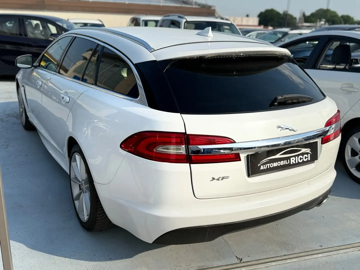 Jaguar XF Sportbrake 2.2 D 200 CV Premium Luxury Bianco - 2