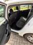 Ford Focus Turnier 1.5 EcoBlue Start-Stopp-System TREND - thumbnail 9