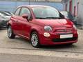Fiat 500 1.0 Hybrid Club*TüV Neu*KLIMA*TEMPO*ALU*DAB* Rot - thumbnail 8