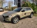 Mazda CX-30 2.5L e-SKYACTIV G 140PS 6AT Nagisa Vert - thumbnail 1