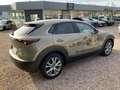 Mazda CX-30 2.5L e-SKYACTIV G 140PS 6AT Nagisa Vert - thumbnail 4
