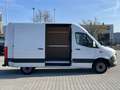 Mercedes-Benz Sprinter 317 Standard L2H2 360°+Schwingsitz+Shz. Weiß - thumbnail 17