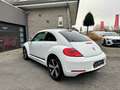 Volkswagen Beetle 1.2 TSI BlueMotion Technology Club !! 22.000 Km !! Blanc - thumbnail 9