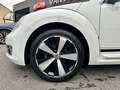 Volkswagen Beetle 1.2 TSI BlueMotion Technology Club !! 22.000 Km !! Blanc - thumbnail 5