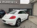 Volkswagen Beetle 1.2 TSI BlueMotion Technology Club !! 22.000 Km !! Blanc - thumbnail 6