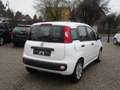 Fiat Panda Pop Blanc - thumbnail 4