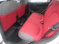 Fiat Panda Pop Blanc - thumbnail 10