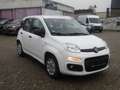 Fiat Panda Pop Blanc - thumbnail 3
