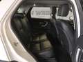 Land Rover Discovery Sport 2.0 td4 Pure awd 150cv Weiß - thumbnail 12