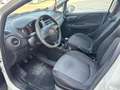 Fiat Punto 1.4 8V 5 porte Natural Power Street Blanc - thumbnail 8