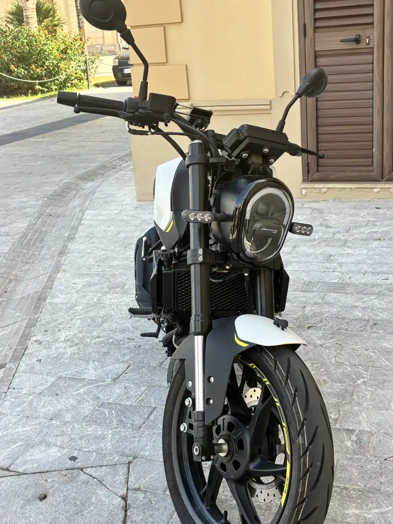 Benelli Leoncino - 2