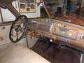 Buick Special Eight Braun - thumbnail 6