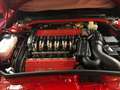 Alfa Romeo 147 147 3.2 V6 24V GTA Rot - thumbnail 6