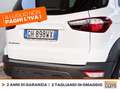 Ford EcoSport 1.0 ecoboost active s&s 125cv Biały - thumbnail 18