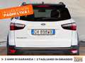 Ford EcoSport 1.0 ecoboost active s&s 125cv Biały - thumbnail 5