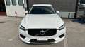 Volvo XC60 D4 AWD Business Plus Wit - thumbnail 2