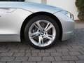 BMW Z4 sDrive35i Gris - thumbnail 12