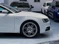 Audi A5 Coupé 3.0TDI quattro S-Tronic 245 Blanco - thumbnail 32