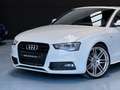 Audi A5 Coupé 3.0TDI quattro S-Tronic 245 Blanco - thumbnail 12