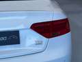 Audi A5 Coupé 3.0TDI quattro S-Tronic 245 Blanco - thumbnail 24