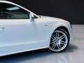 Audi A5 Coupé 3.0TDI quattro S-Tronic 245 Blanco - thumbnail 30