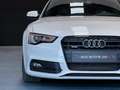 Audi A5 Coupé 3.0TDI quattro S-Tronic 245 Blanco - thumbnail 36