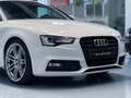 Audi A5 Coupé 3.0TDI quattro S-Tronic 245 Blanco - thumbnail 34