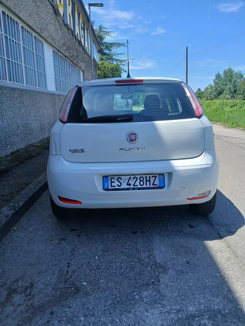 Fiat Punto Evo 5p 1.4 natural power Active 70cv - 2