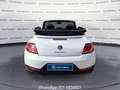 Volkswagen Maggiolino Cabrio 2.0 TDI 150 CV Sport BlueMotion Technology Blanco - thumbnail 5