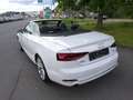 Audi A5 sport*19"Alus*LED*360*Sitzbelüftung*Kopfheizg* Weiß - thumbnail 10