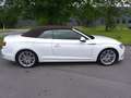 Audi A5 sport*19"Alus*LED*360*Sitzbelüftung*Kopfheizg* Weiß - thumbnail 4