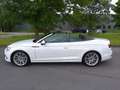 Audi A5 sport*19"Alus*LED*360*Sitzbelüftung*Kopfheizg* Weiß - thumbnail 9