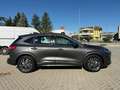 Ford Kuga Kuga III 2023 2.5 full hybrid ST-Line Design Grigio - thumbnail 8