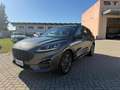 Ford Kuga Kuga III 2023 2.5 full hybrid ST-Line Design Grigio - thumbnail 1