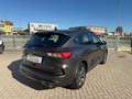Ford Kuga Kuga III 2023 2.5 full hybrid ST-Line Design Grigio - thumbnail 7