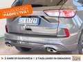Ford Kuga 1.5 ecoblue st-line 2wd 120cv Grigio - thumbnail 19