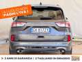 Ford Kuga 1.5 ecoblue st-line 2wd 120cv Grigio - thumbnail 5