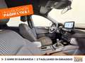 Ford Kuga 1.5 ecoblue st-line 2wd 120cv Grigio - thumbnail 7