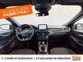 Ford Kuga 1.5 ecoblue st-line 2wd 120cv Grigio - thumbnail 11