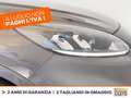 Ford Kuga 1.5 ecoblue st-line 2wd 120cv Grigio - thumbnail 15
