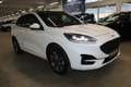 Ford Kuga 2.5 PHEV ST-Line X LED HUD B&O Panodach WinterPak. Blanc - thumbnail 6