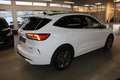 Ford Kuga 2.5 PHEV ST-Line X LED HUD B&O Panodach WinterPak. Blanc - thumbnail 5