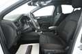 Ford Focus 1.0 ecoboost h ST-Line X 125cv powershift TETTO PA Bianco - thumbnail 12
