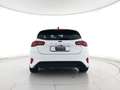 Ford Focus 1.0 ecoboost h ST-Line X 125cv powershift TETTO PA Bianco - thumbnail 6