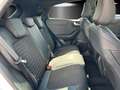Ford Puma 1.0  ST-Line X Aut./LED/ACC/KAMERA/NAVI/ Wit - thumbnail 15