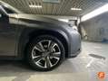 Lexus UX 250h 2.0 Business Gris - thumbnail 15