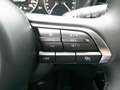 Mazda CX-30 e-SKYACTIV 186 AT Homura NAVI/HUD/KAMERA Schwarz - thumbnail 12