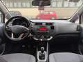 Kia Rio 1.4 CRDi 5p. Cool Grigio - thumbnail 7