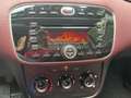 Fiat Punto Evo 1.3 Mjt 75 CV 5P. Neopatentati Nero - thumbnail 8